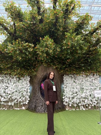 �������� ���� ���������